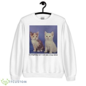 Gaslighting Isn’t Real You Crazy Bitch Shirt - Unisex Heavy Blend Crewneck Sweatshirt