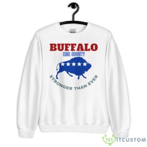 Troubleart Buffalo Usa Blizzard Of The Century Shirt - Unisex Heavy Blend Crewneck Sweatshirt