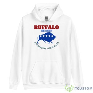 Troubleart Buffalo Usa Blizzard Of The Century Shirt - Unisex Heavy Blend Hooded Sweatshirt