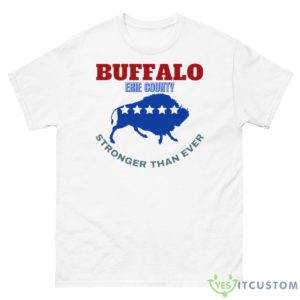 Troubleart Buffalo Usa Blizzard Of The Century Shirt - 500 Men’s Classic Tee Gildan