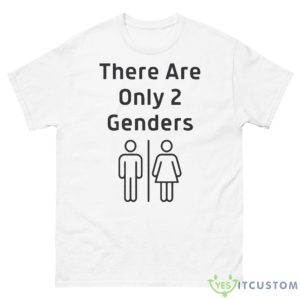 There Are Only 2 Genders Funny Lgbtq Shirt - 500 Men’s Classic Tee Gildan