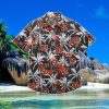 Cincinnati Bengals NFL Black Floral Hawaiian Shirt Special Gift For Fans Product Photo 1