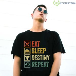 Eat Sleep Destiny Repeat Hoodie - G500 Gildan T-Shirt
