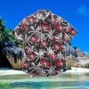 San Francisco 49ers NFL Black Floral Hawaiian Shirt Special Gift For Fans Product Photo 1