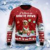 Collie I Believe In Santa Paws Ugly Christmas Sweater, Best Gift For Christmas Product Photo 1