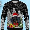 Winter Dachshund 3D Ugly Christmas Sweater, Xmas Gift For Everyone Product Photo 1
