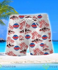 HC Motor Ceské Budejovice Coconut Vintage Pattern Beach 3D Hawaiian Shirt And Shorts Product Photo 2