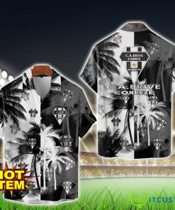 CA Brive Hawaiian Shirt 3D Printing Beach Shirt For Men And Women Product Photo 1